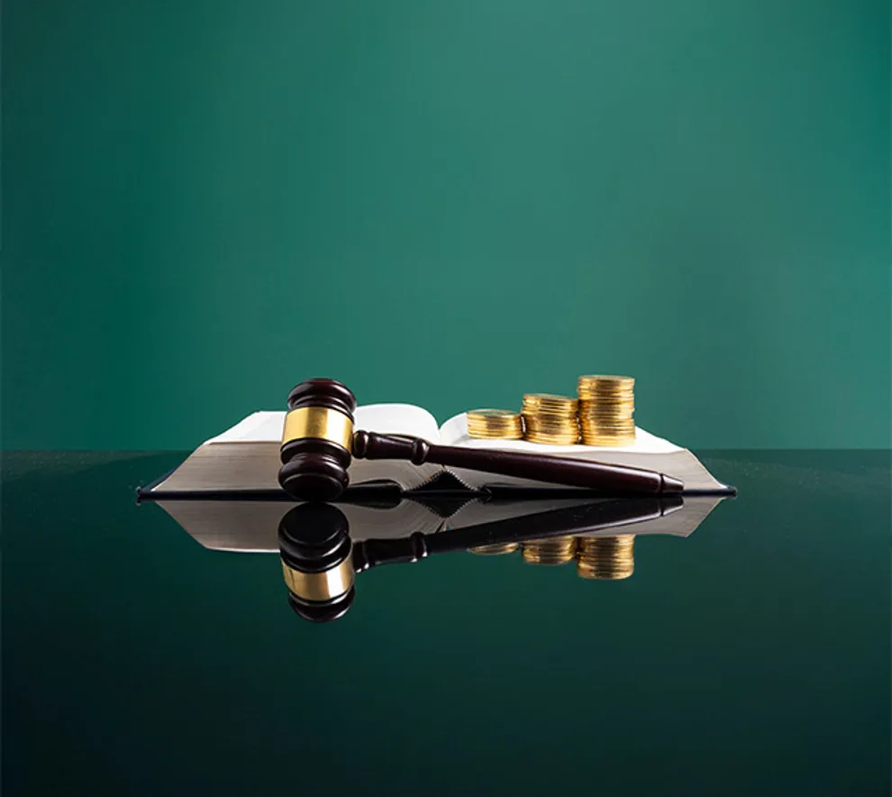 Bilde av penger og lover