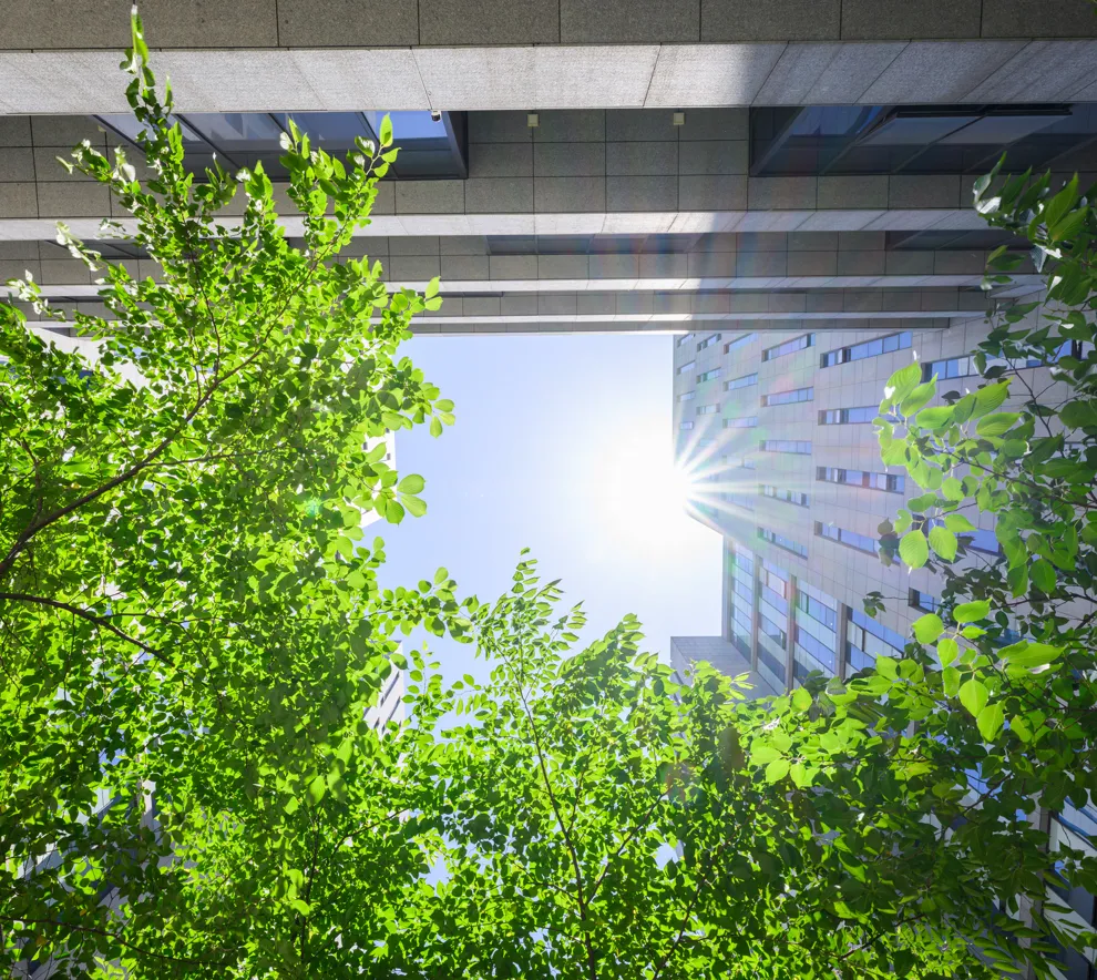 Høye bygninger sett fra froskeperspektiv, blå himmel og trær i forgrunnen.