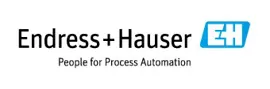 Logo: Endress+Hauser