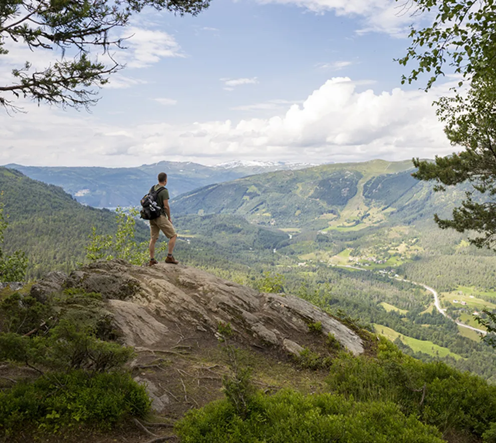 En mann står ved et utkikkspunkt og ser utover en grønn dal.